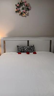 $850/MONTH SHORT-TERM: A ROOM FOR RENT IN EDMONTON - Photo 2