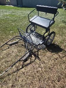 Miniature Horse - Photo 3