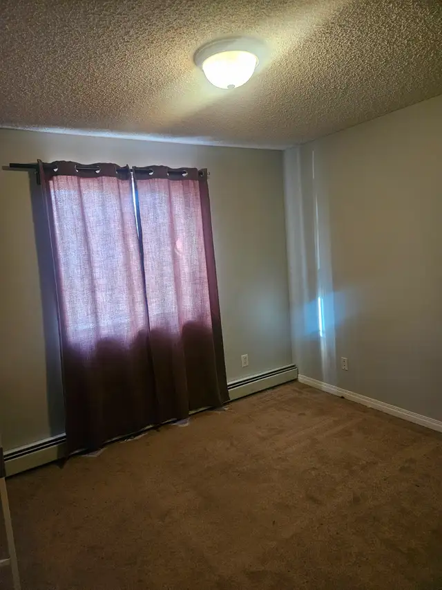 2Bed/2Bath Apartment For Rent - Photo 3