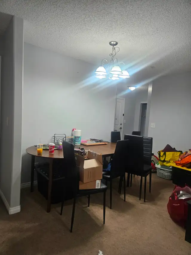 2Bed/2Bath Apartment For Rent - Photo 5