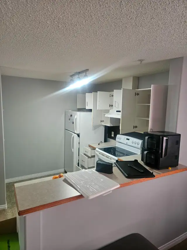 2Bed/2Bath Apartment For Rent - Photo 9