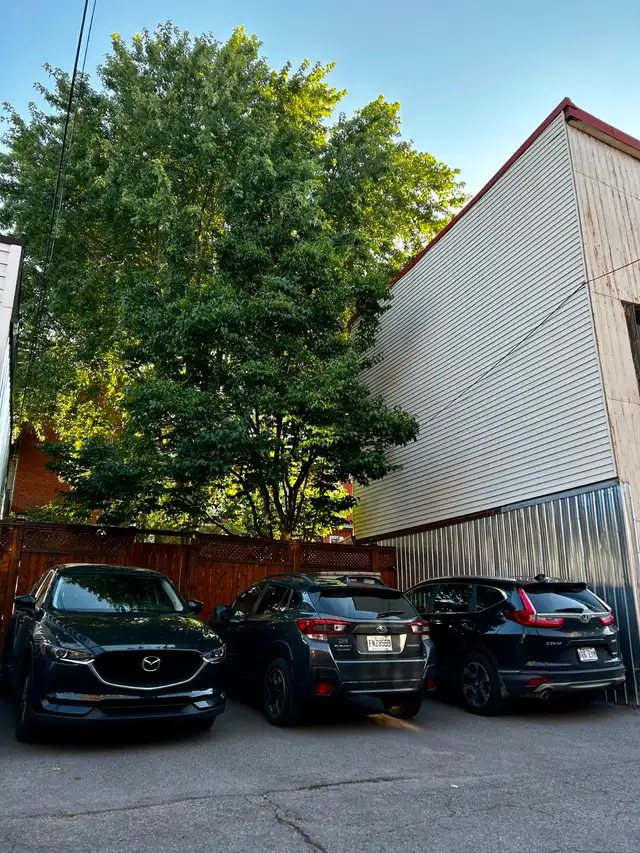 Appart. RDC 3 chambres Plateau   cour   stationnement - Photo 18