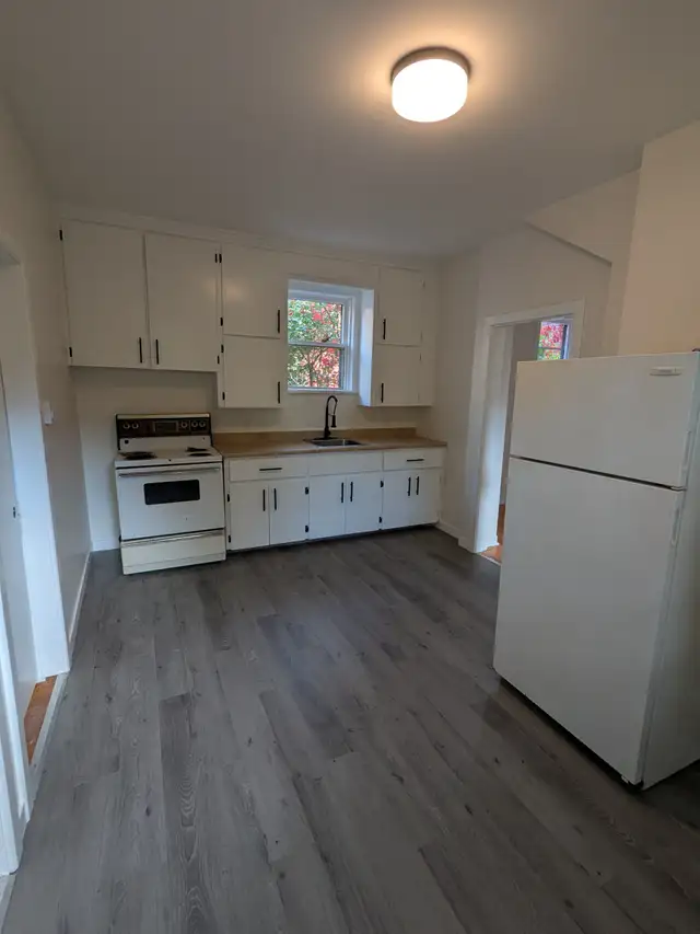 71.5 Mecklenburg - 2BR Uptown, Parking, New Renovation, W/D - Photo 3