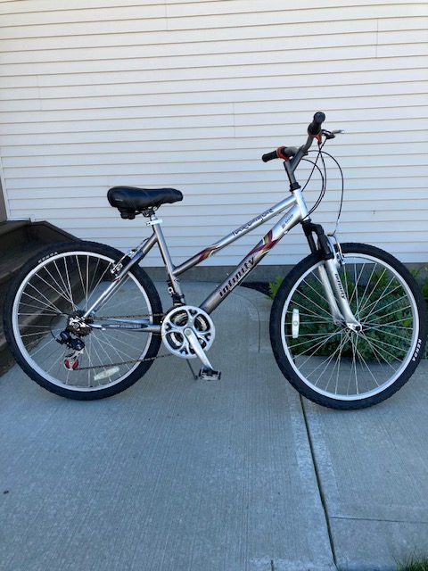 Infinity Intrigue bike - Photo 2