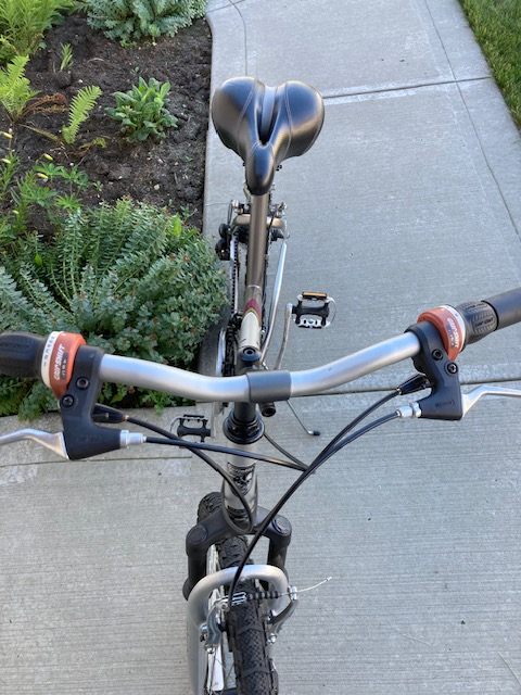 Infinity Intrigue bike - Photo 3