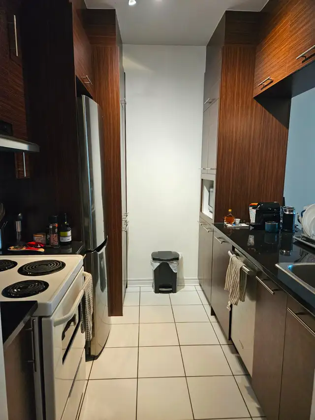 CONDO 3 1/2 MEUBLÉ - VIEUX-PORT - VILLE-MARIE - JACQUES CARTIER - Photo 15