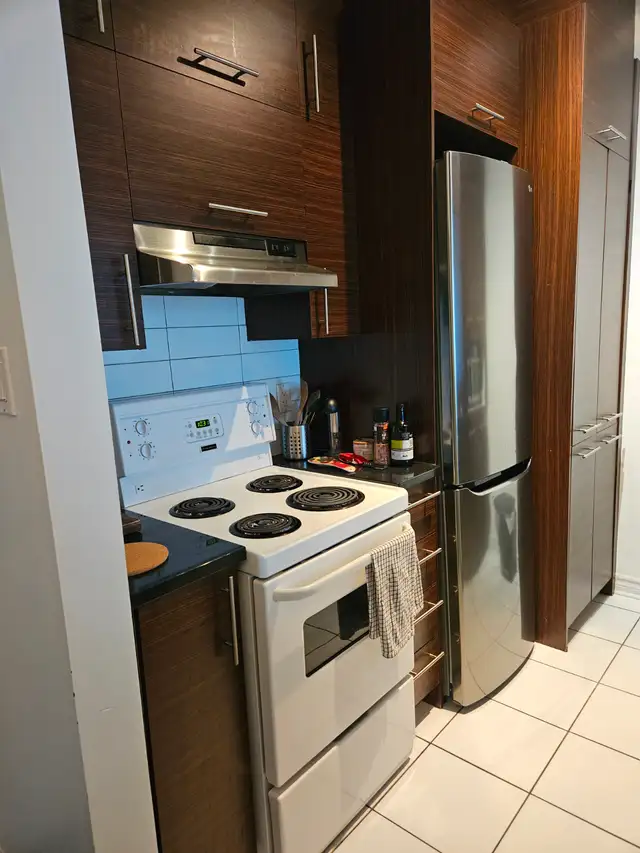 CONDO 3 1/2 MEUBLÉ - VIEUX-PORT - VILLE-MARIE - JACQUES CARTIER - Photo 16