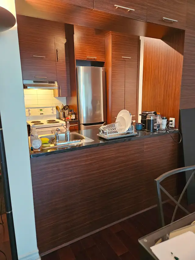CONDO 3 1/2 MEUBLÉ - VIEUX-PORT - VILLE-MARIE - JACQUES CARTIER - Photo 19