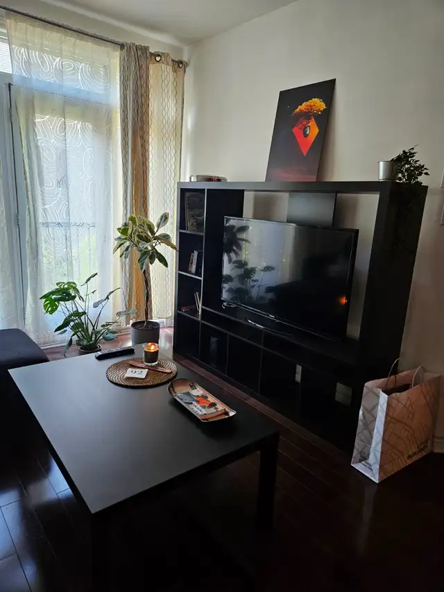 CONDO 3 1/2 MEUBLÉ - VIEUX-PORT - VILLE-MARIE - JACQUES CARTIER - Photo 22