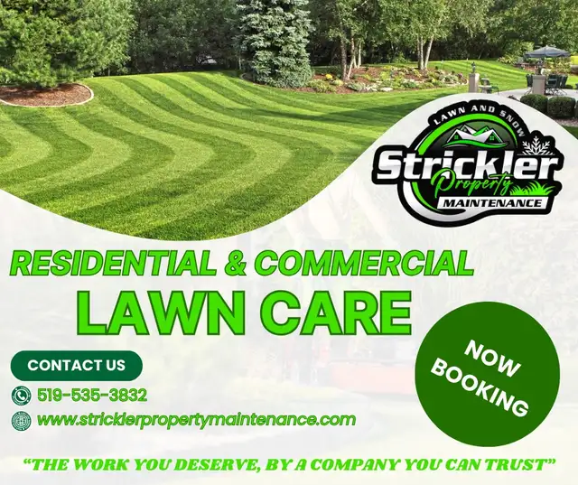 Lawn Care