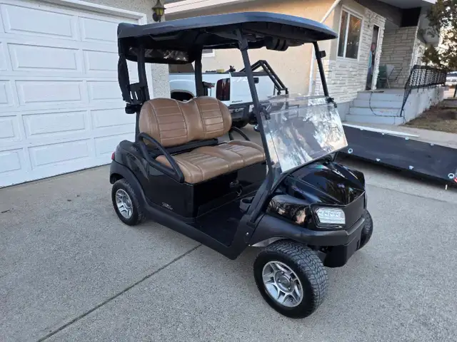 2022 Lithium Golf Cart - Photo 4