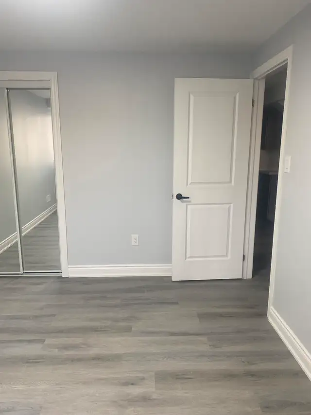 Brand new Legal Walkout Apartment for Rent - Photo 4