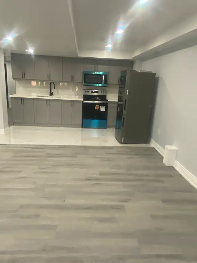 Brand new Legal Walkout Apartment for Rent - Photo 6