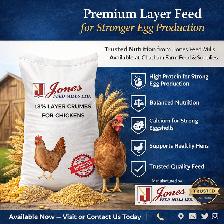 Premium 18% Layer Crumbs – Strong Eggs, Healthy Chickens