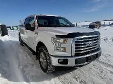 2017 Ford F-150 XLT SuperCrew 6.5-ft. Bed 4WD - Photo 6