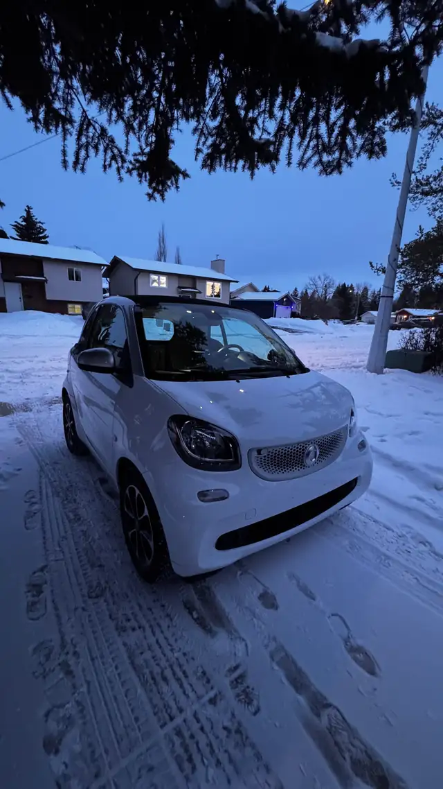 2017 Smart ForTwo - Photo 2
