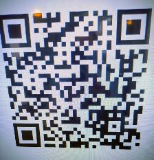 Agincourt Garden Club   Heather Gray present Fairy Gardens