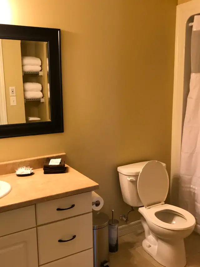 Quiet 2 bedroom with washer dryer and patio for April 1st - Photo 3