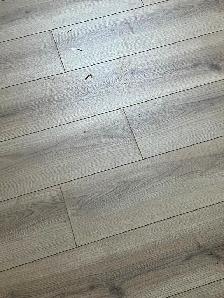 Quiet 2 bedroom with washer dryer and patio for April 1st - Photo 7