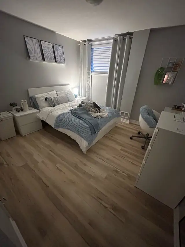 Two Bedroom Legal Basement Apartment - Photo 3