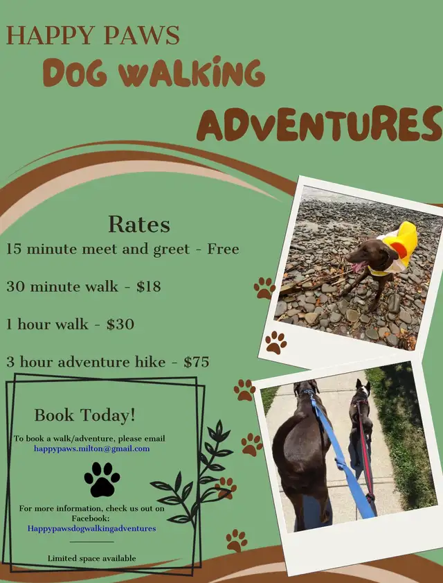 Dog Walking Services