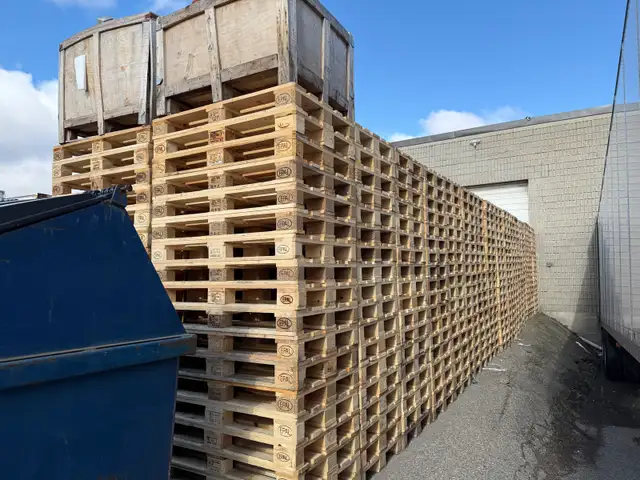 large quantity euro pallet for sale 905-670-9049