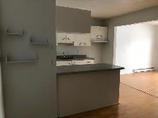 3 1/2 a louer- Internet inclus - Photo 3