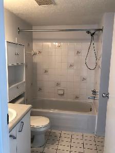 3 1/2 a louer- Internet inclus - Photo 5