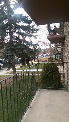 1 Bedroom Suite - Sunalta