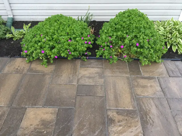 GARDENING, LAWN MAINTENANCE, STONEWORK & MORE! - Photo 4