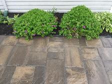 GARDENING, LAWN MAINTENANCE, STONEWORK & MORE! - Photo 4