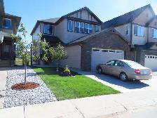 GARDENING, LAWN MAINTENANCE, STONEWORK & MORE! - Photo 5