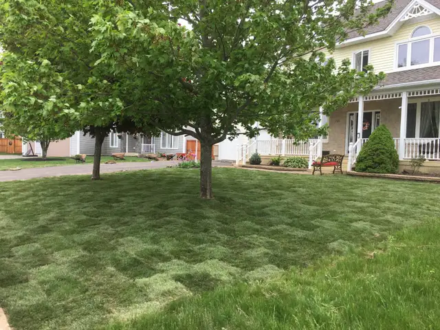 GARDENING, LAWN MAINTENANCE, STONEWORK & MORE! - Photo 6