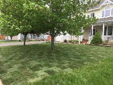 GARDENING, LAWN MAINTENANCE, STONEWORK & MORE! - Photo 6