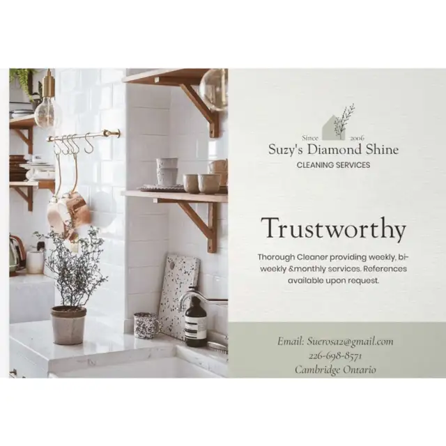 Suzys Diamond Shine Cleaning