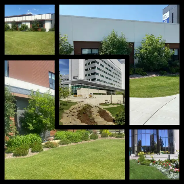 Landscape Maintenance Crew Lead and Labourers - Photo 2