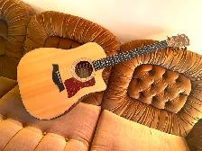 TAYLOR 310ce ALL SOLID Wood Guitar with Taylor Archtop CASE ! - Photo 2