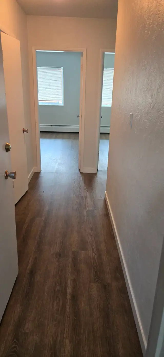 2 Bedroom Apartment – Newly Renovated –$2200 - Photo 4