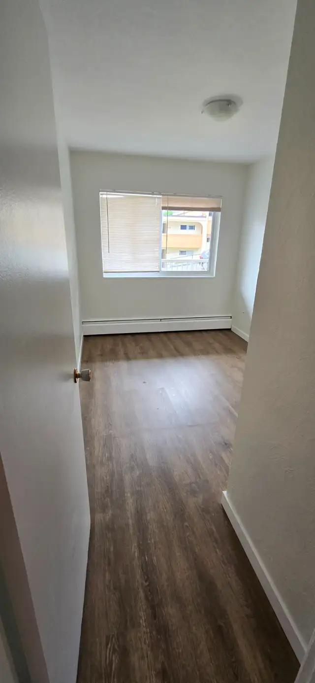 2 Bedroom Apartment – Newly Renovated –$2200 - Photo 10