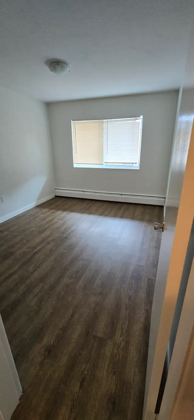 2 Bedroom Apartment – Newly Renovated –$2200 - Photo 24