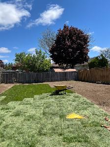Sod installation - Photo 2