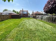 Sod installation - Photo 3