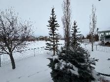 Bungalow in Olds, 3 bed, 3 bath - Photo 9