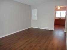 2 Bed 1 Bath Duplex in Highland Park Available June 1st! - Photo 4