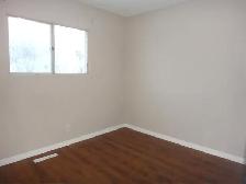 2 Bed 1 Bath Duplex in Highland Park Available June 1st! - Photo 5
