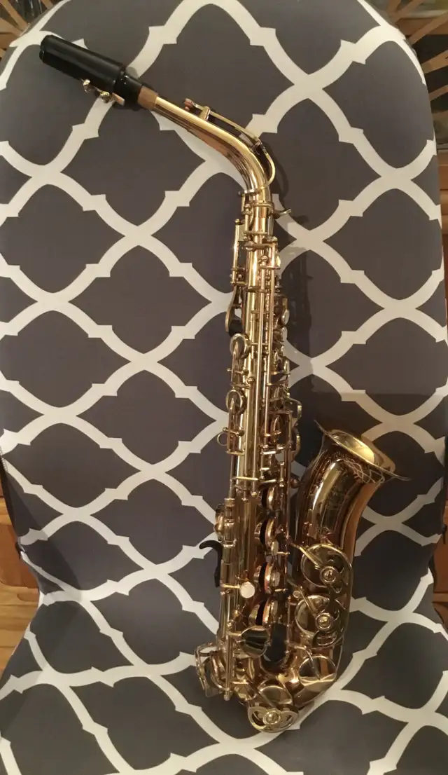 Saxophone Alto de qualité
