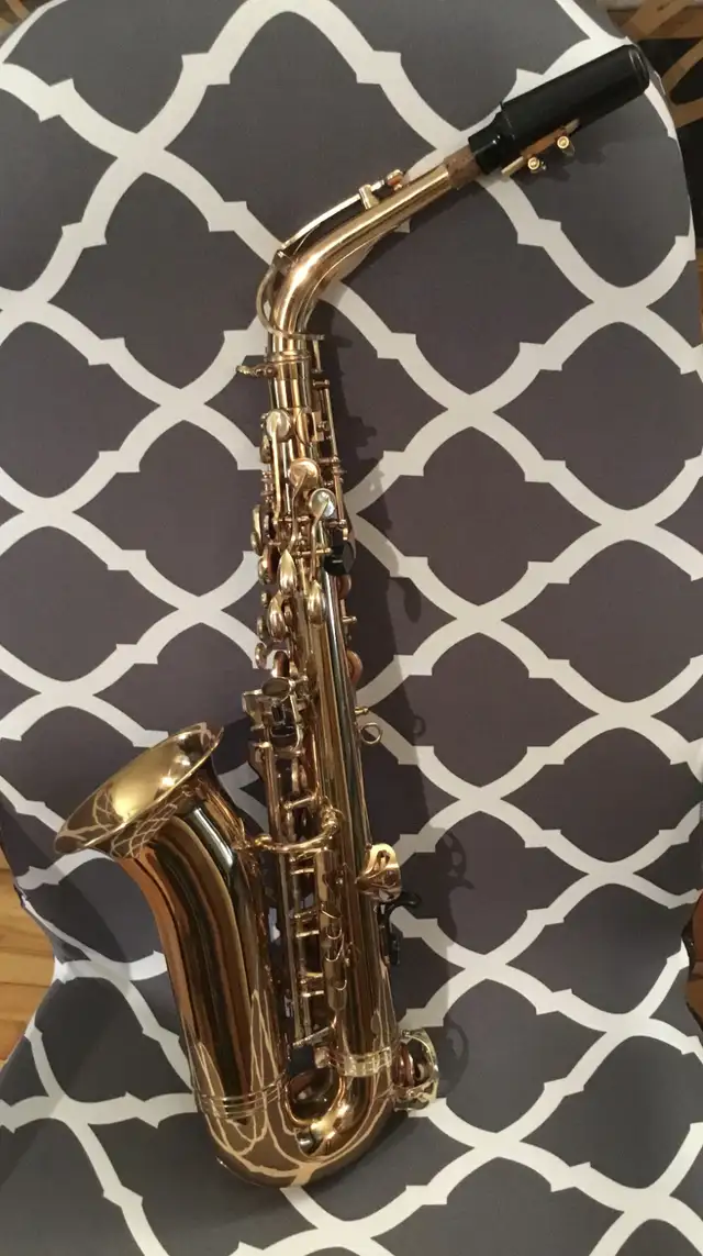 Saxophone Alto de qualité - Photo 2