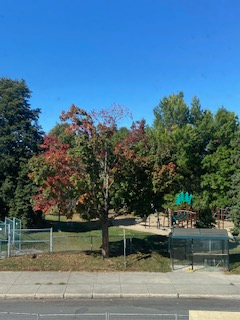 5 1/2 Disponible - 7405 rue de Lisieux - Photo 9