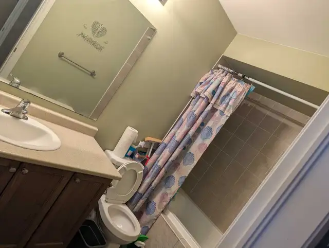 A clean and desent Master bedroom for Rent in Brampton - Photo 5