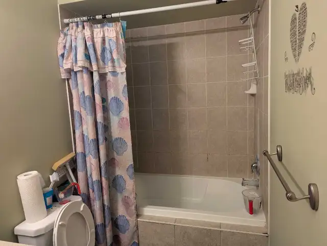 A clean and desent Master bedroom for Rent in Brampton - Photo 6